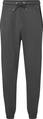 Produktbild von TriDri - Jogginghosen für Herren RW8200 (XL) (Anthrazit)