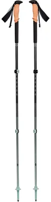 Produktbild von Black Diamond Trail Back harcoal-Foam Green Trekkingstöcke