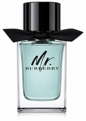Image de Burberry - Mr. Burberry EDT 100ml