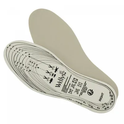 Zdjęcie produktu dla Wellys GD-169815: Wkładki "Kieselguhr" (32-45)