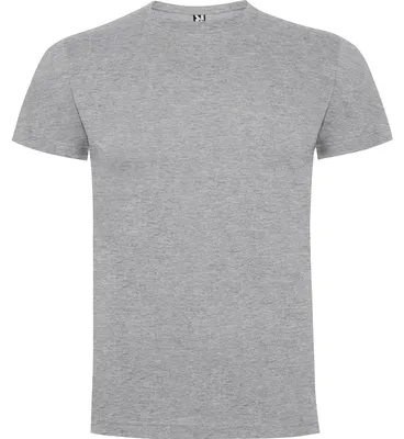 Image de Roly - T-shirt « Dogo Premium » pour homme, chiné LT4880 (M) (gris chiné)