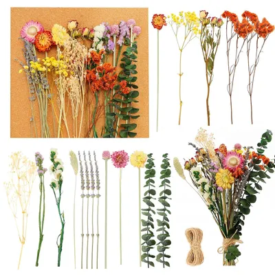 Image de TRANKIELO® - 30 fleurs séchées – Décoration naturelle pour vase – Kit de loisirs créatifs pour la décoration de table