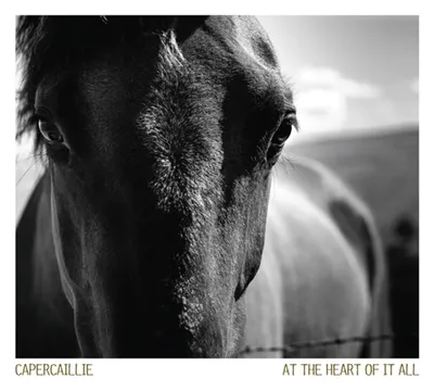 Produktbild von At The Heart Of It All