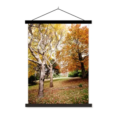 Produktbild von MuchoWow® Textilposter Herbst - Bäume - Laub - Natur 120x160 cm mit schwarzem Rahmen - Magnetischer