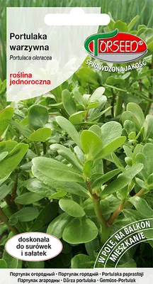 Produktbild von Saatgut von Portulak 1g - Torseed
