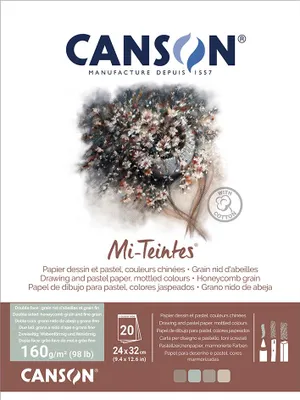 Immagine prodotto di CANSON C503208003 CANSON Carta da disegno Mi-Teintes, in blocco, 320 x 410 mm