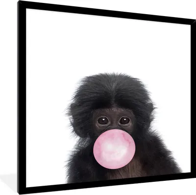 Produktbild von MuchoWow® Gerahmtes Poster Affe - Kaugummi - Kinder - Mädchen - Rosa - Tiere - Schimpanse 40x40 cm - Poster mit Schwarzem Bilderrahmen Wandposter Rahmen Foto Bilder - Mit Rahmen - Wanddekoration Schlafzimmer
