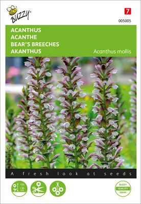 Artikelbild 2 von 'Bärentatze' aus der Kategorie Blumensamen