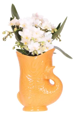 Obrázek produktu pro Kolibri Orchids Bílá orchidej Nazaré + oranžový květináč ve tvaru ryby – velikost květináče 9 cm