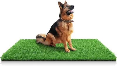 Imagen del producto de Alfombra de césped artificial para perros, 100 x 150 cm, ideal para interiores y exteriores