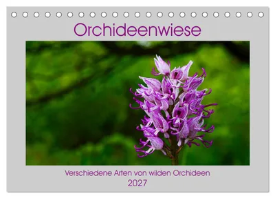 Produktbild von Orchideenwiese 2027 (Tischkalender 2027 DIN A5 quer), CALVENDO Monatskalender