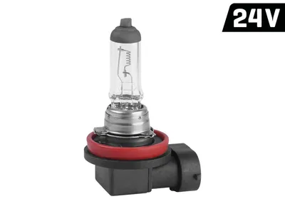 Zdjęcie produktu dla Żarówka VISION H11 24V 70W PGJ19-2 U E4