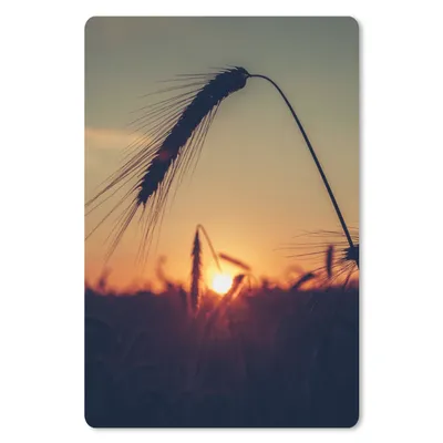 Produktbild von MuchoWow® Mauspad Mousepad Gras - Herbst - Sonnenuntergang - Jahreszeiten - Landschaft 18x27 cm - Mousepads - Maus Mat - Pad - Mausunterlage