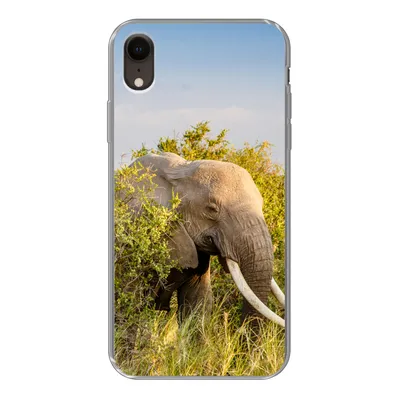 Produktbild von MuchoWow® Handyhülle Schutzhülle Hülle für iPhone XR Elefant - Tiere - Gras - Grün - Berg Silikon Softcase Handy Hülle - Schutzdeckel