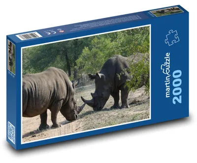 Obrázek produktu pro Puzzle 2000 Nosorožci v divočině - martinpuzzle