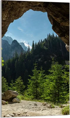 Produktbild von Herdabdeckplatte 30x52 Glaskeramikkochfeld Abdeckung Spritzschutz Glasplatte Deko Schneidebrett, Landschaft Wald