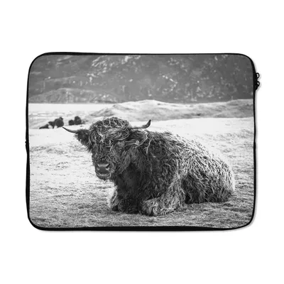 Produktbild von MuchoWow® Laptop Hülle 15 Zoll Schottischer Highlander - Berg - Tiere Laptoptasche - Laptoptasche - Sleeve - Rundum-Schutz