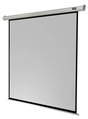 Produktbild von Celexon , Motor Economy, Leinwand, 1:1 elektrisch, 220X220cm, 1:1, Schwarz, Weiß