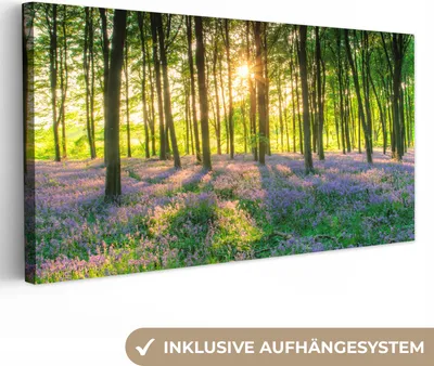 Produktbild von MuchoWow® - Leinwandbilder - Frühling - Wald - Sonne, Wandbild, Wanddeko Bilder Wohnzimmer, 80x40cm