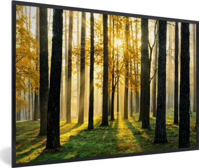 Produktbild von MuchoWow® Gerahmtes Poster Wald - Sonne - Bäume - Gras - Landschaft - Natur 90x60 cm - Poster mit Schwarzem Bilderrahmen Wandposter Rahmen Foto Bilder - Fotorahmen - Foto-Plakat