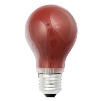 Produktbild von Scharnberger Hasenbein Glühlampe B 60x105mm E27 rot