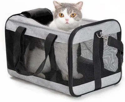 Produktbild von Zusammenklappbare Transportbox für Hunde und Katzen, M