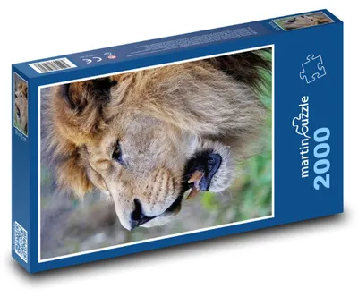 Obrázok produktu pre Puzzle 2000 Barbarský lev - martinpuzzle