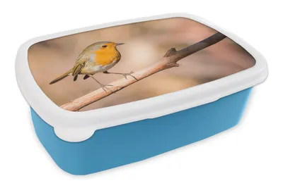 Obrázok produktu pre MuchoWow® Obedník Brotzeit Box na obed 11x17x6cm Vták - Vetva - Robin Detský obedový box
