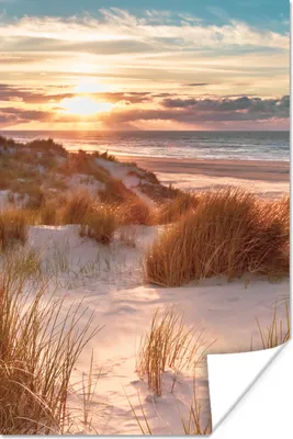 Produktbild von MuchoWow® Poster Düne - Pflanzen - Sonnenuntergang - Strand - Meer 40x60 cm - Plakate für die Wand - Poster Babyzimmer