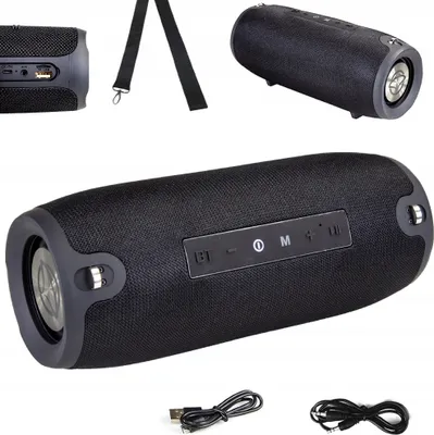 Zdjęcie produktu dla Przenośny bezprzewodowy głośnik Bluetooth z radiem MANTA SPK15GO TWS IPX4