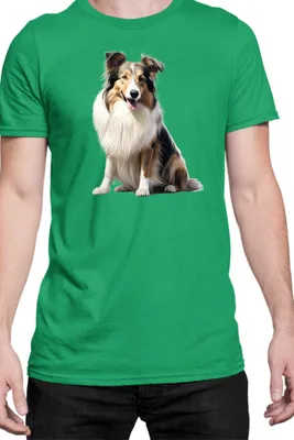 Immagine prodotto di Maglietta da uomo Dogs Breeds Dachshund Dog Breed 007, Man M , Vert