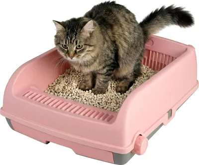 Obrázek produktu pro COSTWAY Otevřená kočičí toaleta, kočičí toaleta s vysokým okrajem, Cat Litter Box s výsuvným podnosem a posuvnou lopatkou, pro kočky do 10 kg, z PP, růžová