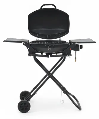 Productafbeelding van In- en outdoorbarbecue - Gasbarbecue - Draagbaar - 1 kookzone