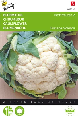 Artikelbild 1 von 'Blumenkohl Herbstriesen 2' aus der Kategorie Blumenkohlsamen