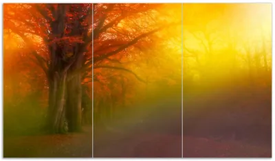 Produktbild von Wallario Herdabdeckplatte aus Glas, Größe 90 x 52 cm 3-teilig, Motiv Bunter Herbst - Waldlandschaft bei Nebel in Regenbogenfarben