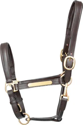 Produktbild von Hy Leder-Halfter BZ354 (Pony) (Braun)