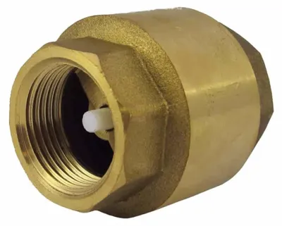 Zdjęcie produktu dla Zawór zwrotny ze sprężyną 1 1/2"