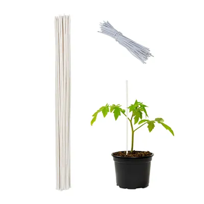 Produktbild von relaxdays 50 x Pflanzenstab 60 cm