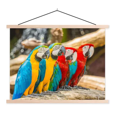 Produktbild von MuchoWow® Textilposter Vögel - Papagei - Tropisch - Natur 60x45 cm mit holzfarbenen Rahmen - Bild