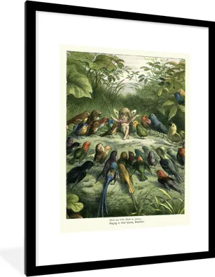 Produktbild von MuchoWow® MuchoWow® Gerahmtes Poster Antiker Vogeldruck Elf 60x80 cm - Poster mit zchwarzem Bilderrahmen - Wohnzimmer - Dekorationen - Prämie