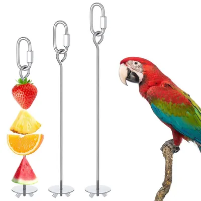 Produktbild von Vogelspieß Futterspender 3 Stück Edelstahl für Vögel und Kleintiere
