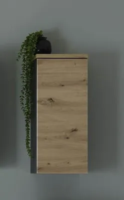 Produktbild von Hängeschrank MEMPHIS Grau Artisan Eiche Holznachbildung, 1 Tür, 2 Einlegeböden