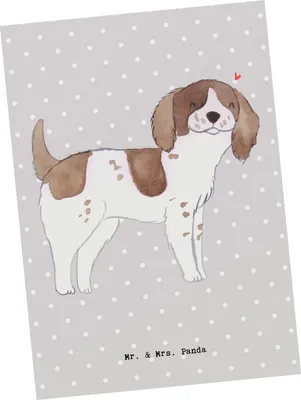 Produktbild von Mr. & Mrs. Panda Postkarte English Springer Spaniel Lebensretter - Grau Pastell - Geschenk, bildkarte, Ansichtskarten, Grußkarte, Postkarten, Ansichtskarte