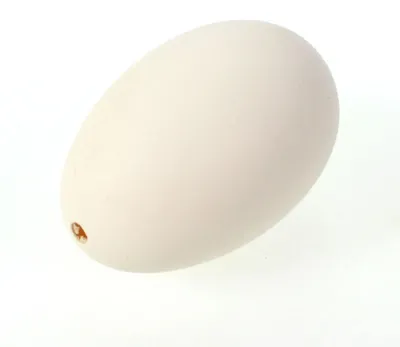 Produktbild von 6  Gänseeier ausgeblasen Eier Gans ca. 9cm Dekoeier Ostereier Natureier