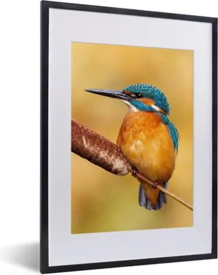 Produktbild von MuchoWow® Gerahmtes Poster Eisvogel - Natur - Vogel 30x40 cm - Poster mit Schwarzem Bilderrahmen Wandposter Rahmen Foto Bilder - Wandposter Schlafzimmer