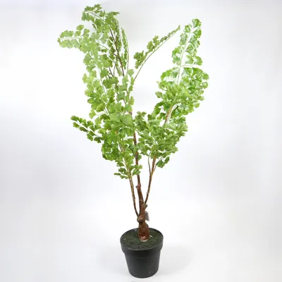 Immagine prodotto di Pianta artificiale gingko pianta artificiale da appartamento verde alta 110 cm