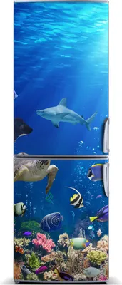 Imagen del producto de Decoración para nevera Tulup: Alfombrilla magnética, 60 cm x 180 cm. Imán para nevera con diseño de arrecife de coral