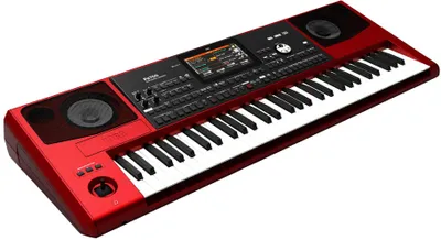 Immagine prodotto di Korg PA700 RD
