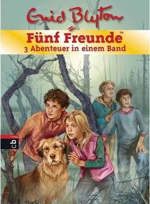 Produktbild von Fünf Freunde. Sammelband 01