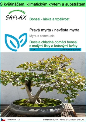 Obrázek produktu pro SAFLAX Garden to go - Pravá myrta / nevěsta myrta - Myrtus communis - 30 Semena - S květináčem, klimatickou poklicí a pěstebním substrátem